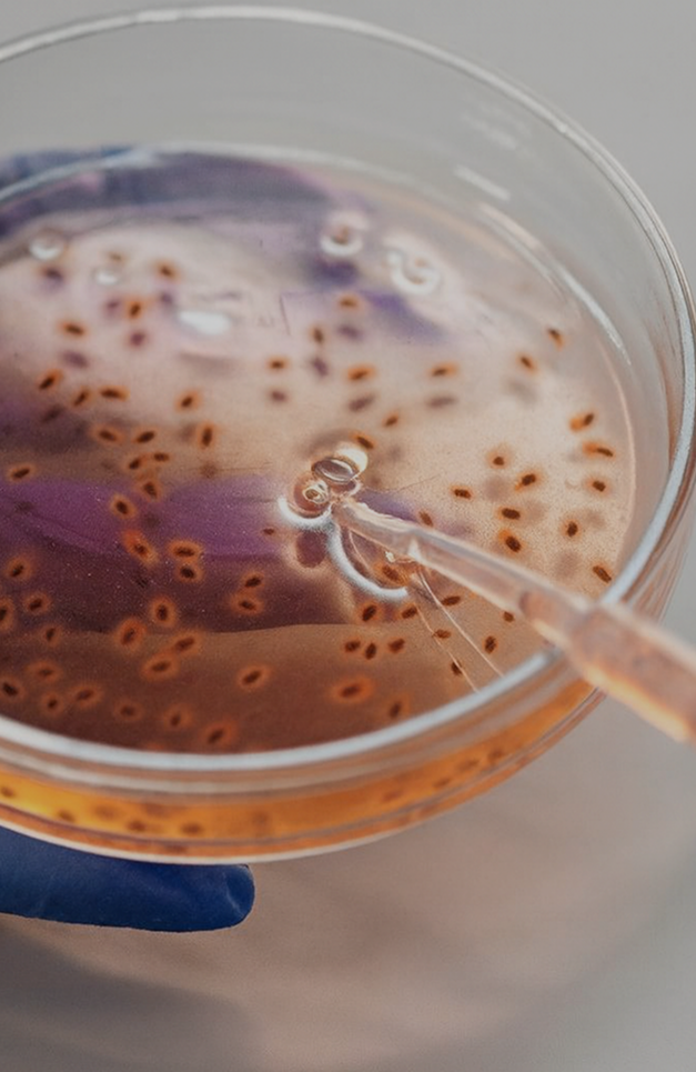 Venture Capital &bull; Venture Capital