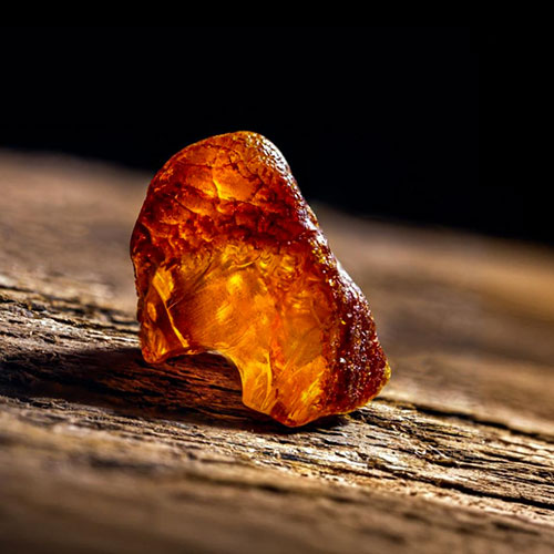 &bull; Missions, valeurs & équipe