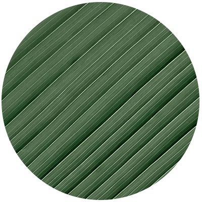 Ambra Capital Van Houten