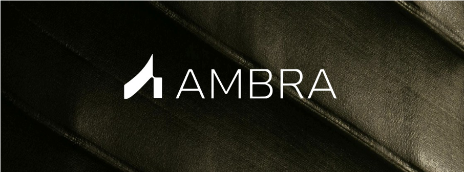Ambra Capital &bull; Anaxago Capital devient Ambra Capital
